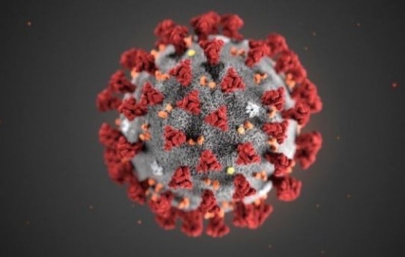 2370 са новите случаи на коронавирус у нас
